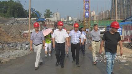 关注|冷水江市人大常委会对环保工作开展执法检查