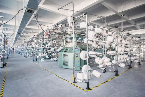 白T看似简单，但你真的会挑吗？——佳泰环保教你选对白T